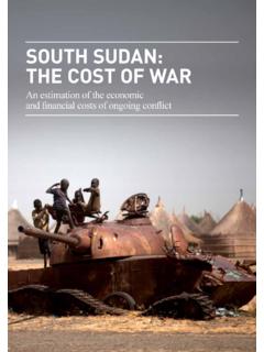 South Sudan: the CoSt of War - frontier …