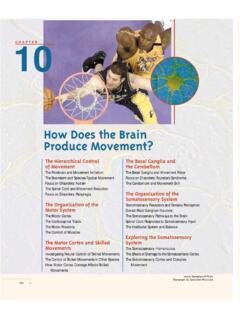 How Does the Brain Produce Movement? - North Dakota …