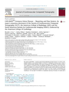 Journal of Cardiovascular Computed Tomography
