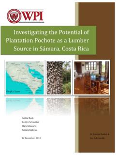 Investigating the Potential of Plantation Pochote as a ...
