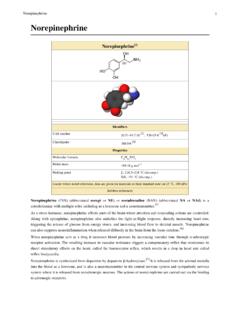 Norepinephrine - Rice University